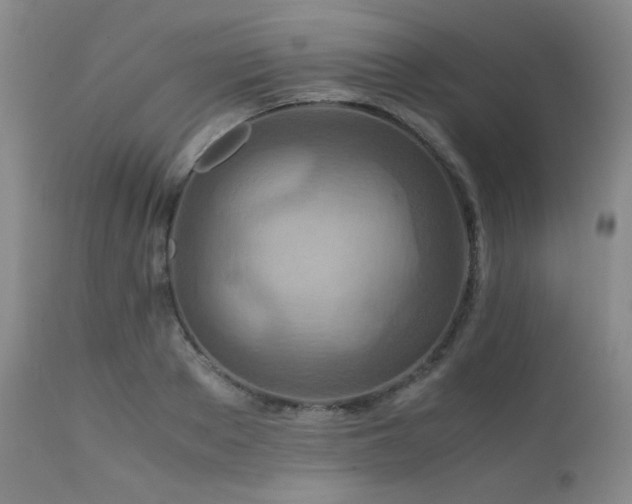 X0000111900889200907271155