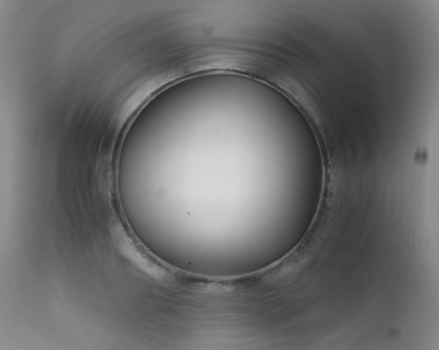 X0000111900890200907271155