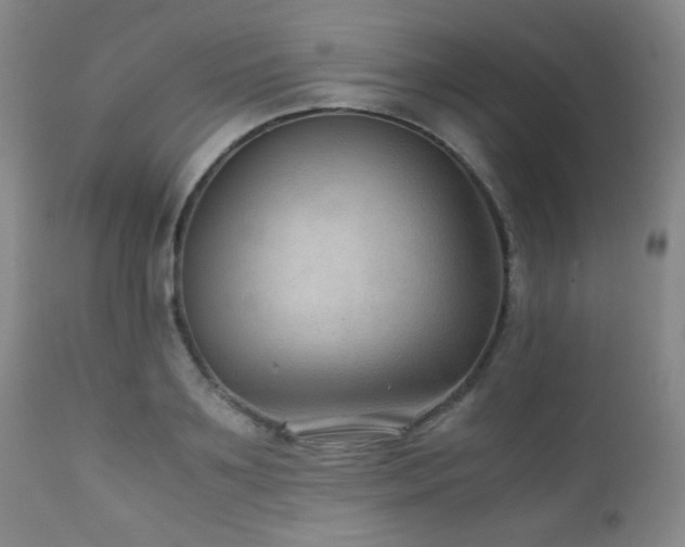 X0000111900891200907271155