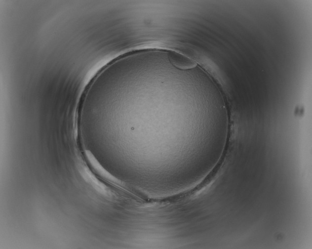 X0000111900892200907271155