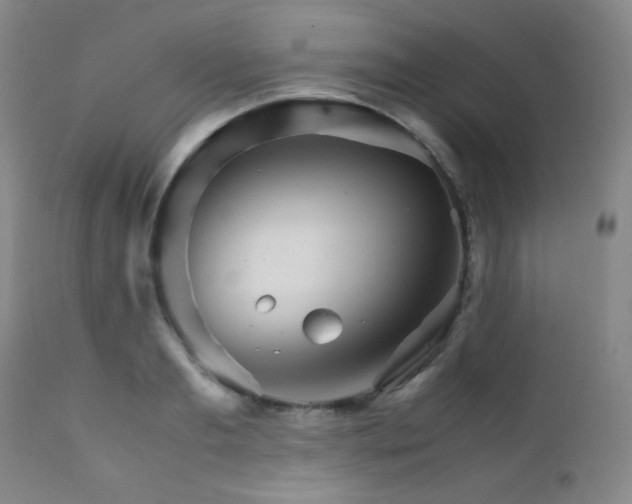 X0000111900893200907271155