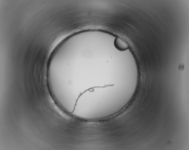 X0000111900894200907271155