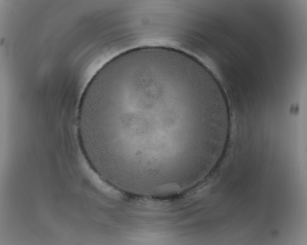 X0000111900895200907271155