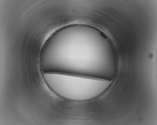 X0000111900896200907271155