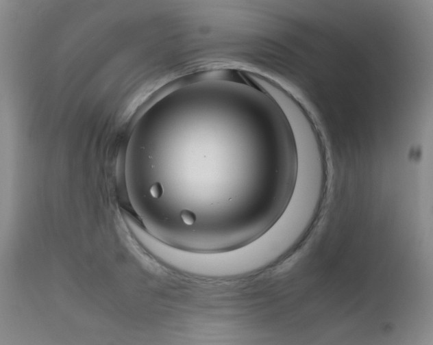 X0000111900897200907271155