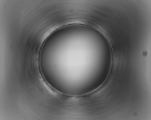 X0000111900898200907271155