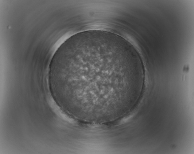 X0000111900899200907271155