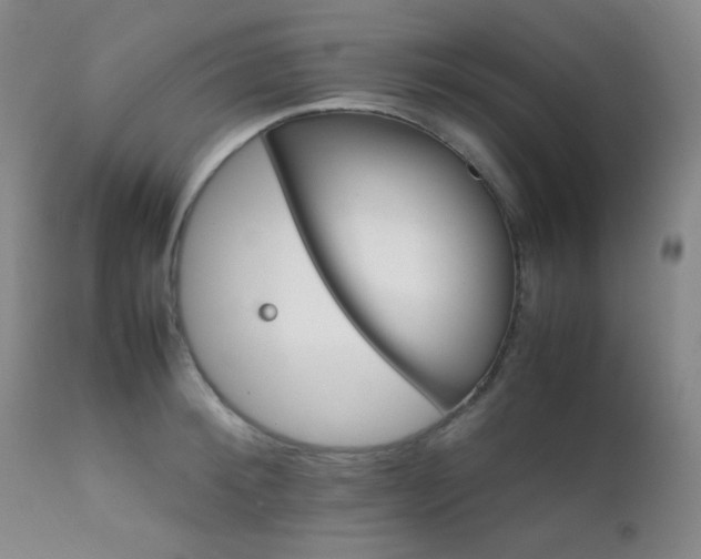 X0000111900900200907271155