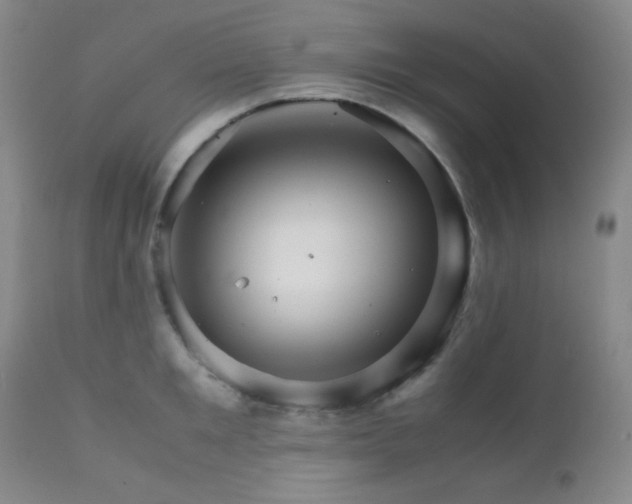 X0000111900901200907271155