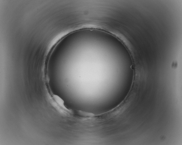 X0000111900902200907271155