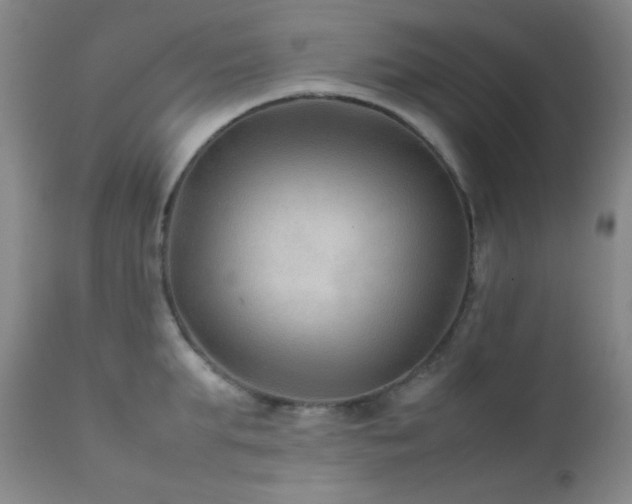 X0000111900903200907271155