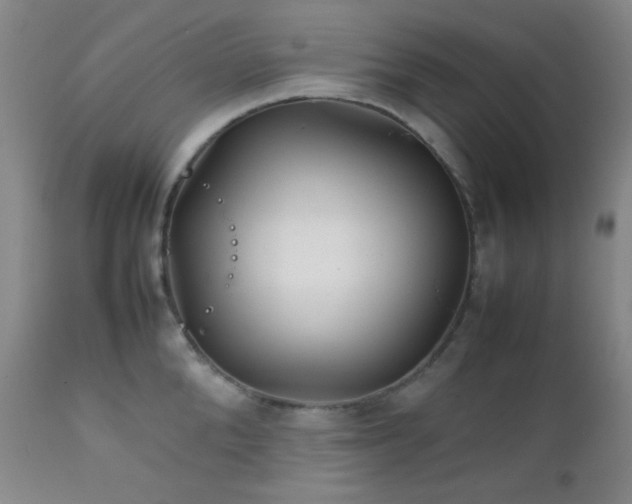 X0000111900904200907271155