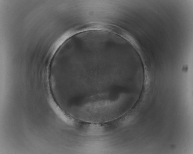 X0000111900907200907271155