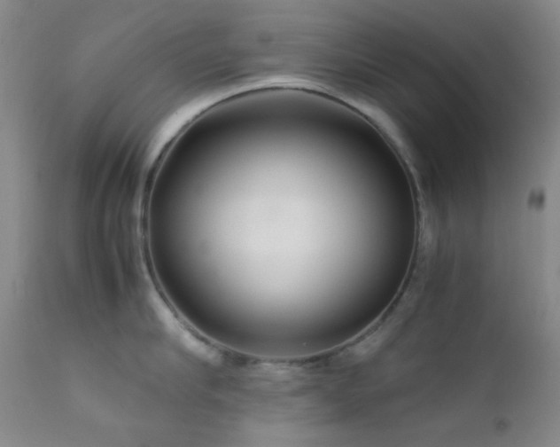 X0000111900910200907271155