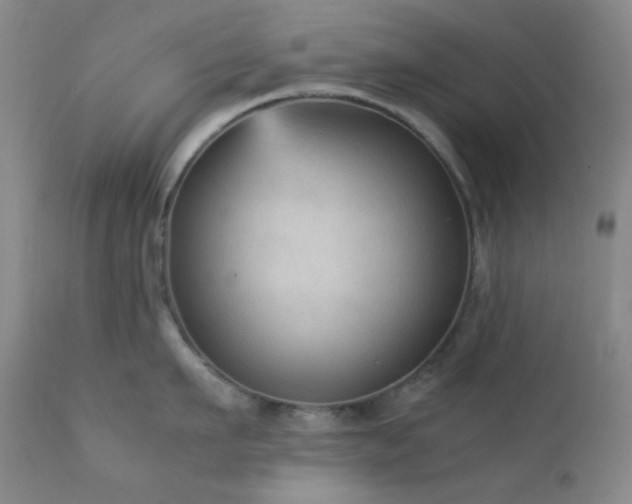 X0000111900911200907271155