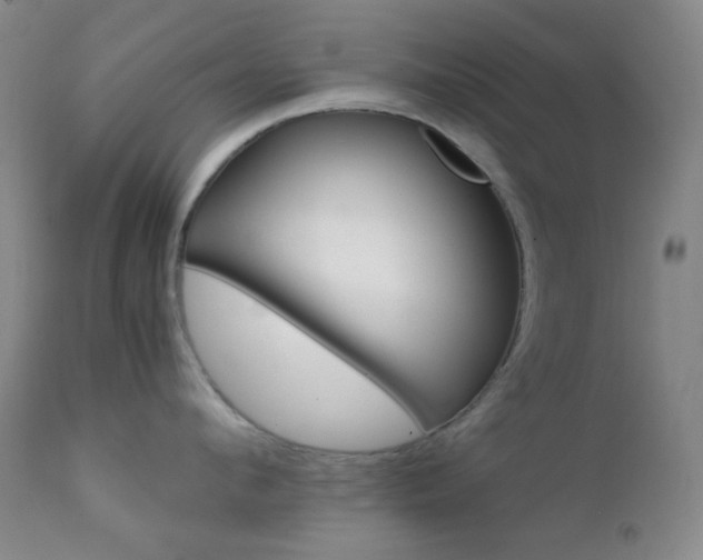 X0000111900912200907271155