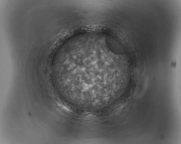 X0000111900913200907271154