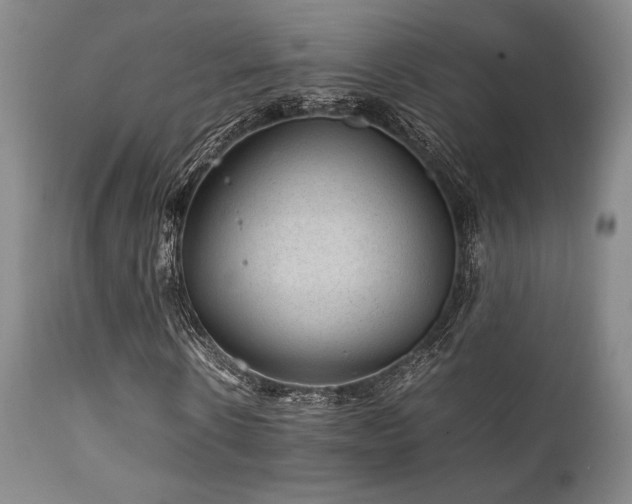 X0000111900914200907271154