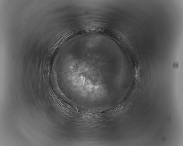 X0000111900915200907271154