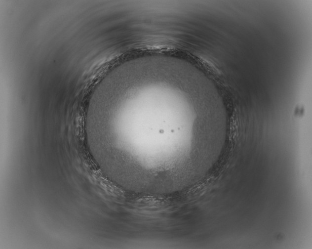 X0000111900917200907271154