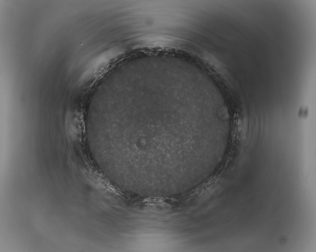 X0000111900918200907271154