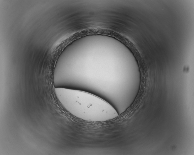 X0000111900919200907271154