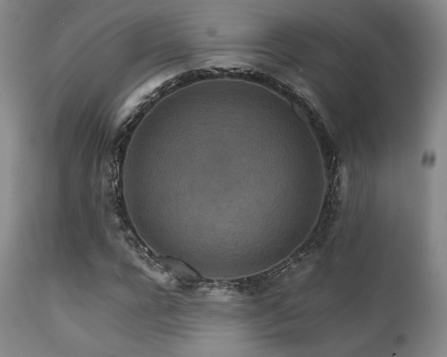 X0000111900920200907271154