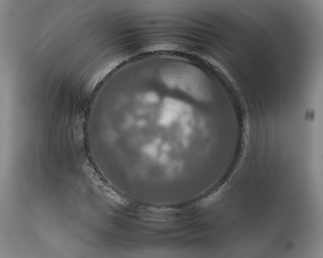 X0000111900921200907271154