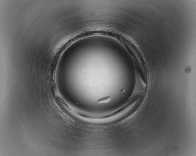 X0000111900922200907271154