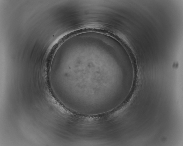 X0000111900923200907271154