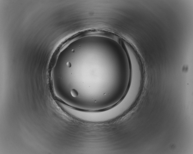 X0000111900924200907271154