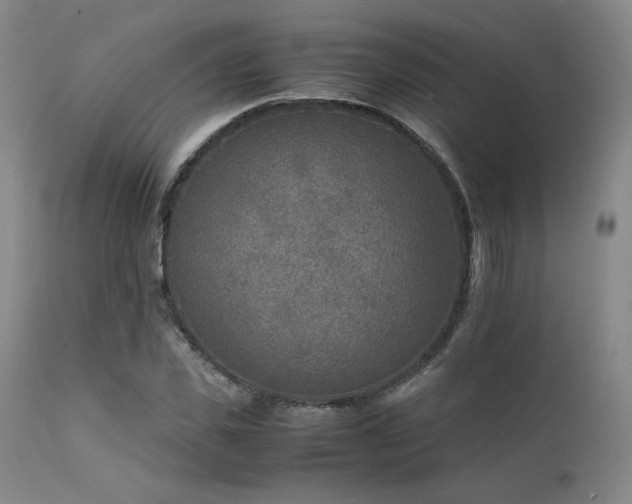 X0000111900925200907271154