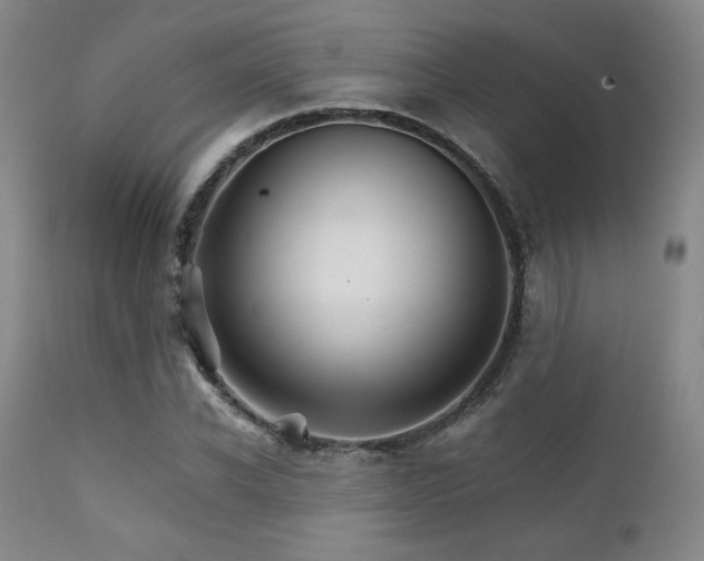 X0000111900926200907271154