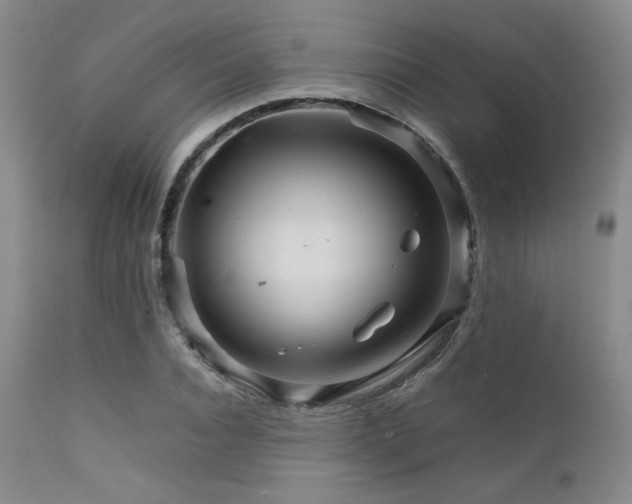 X0000111900928200907271154