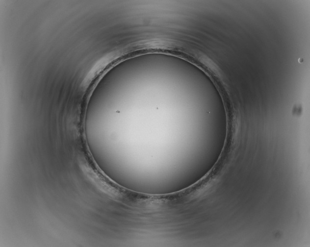 X0000111900930200907271154