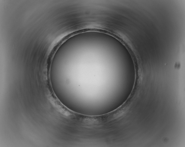 X0000111900931200907271154