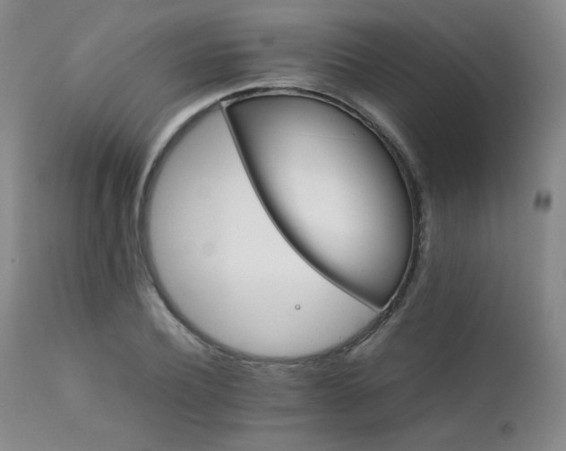 X0000111900932200907271154