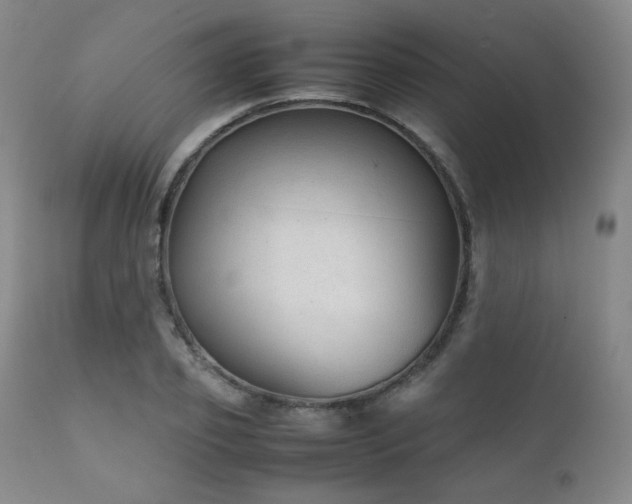 X0000111900933200907271154