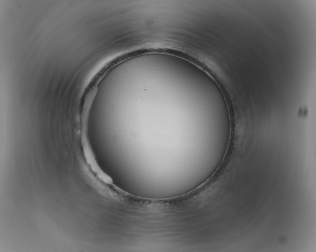 X0000111900934200907271154