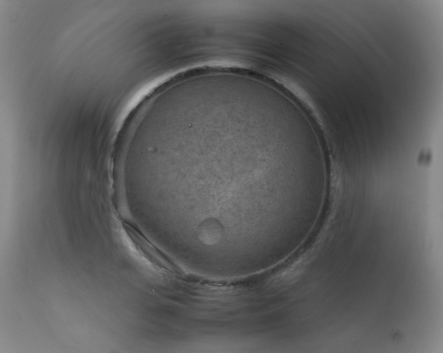 X0000111900935200907271154