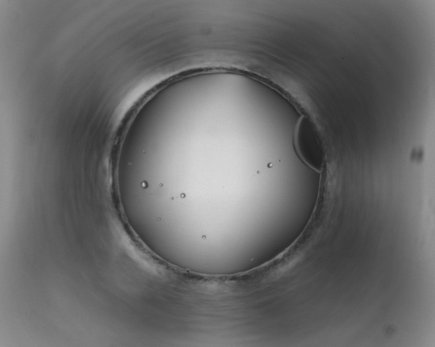 X0000111900936200907271154