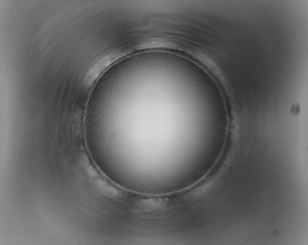 X0000111900937200907271154