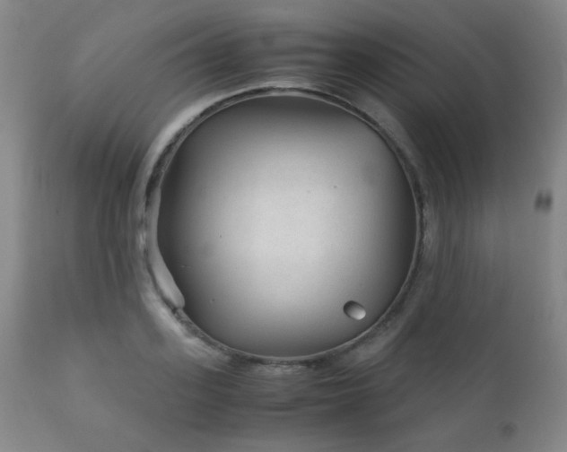 X0000111900939200907271154