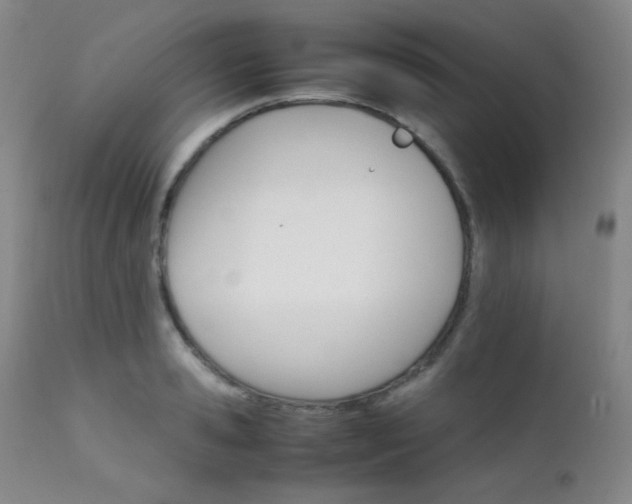 X0000111900941200907271154