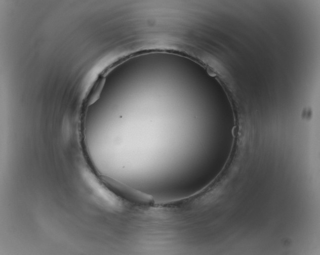 X0000111900942200907271154