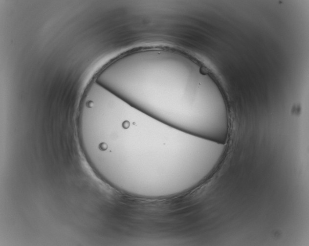 X0000111900943200907271154