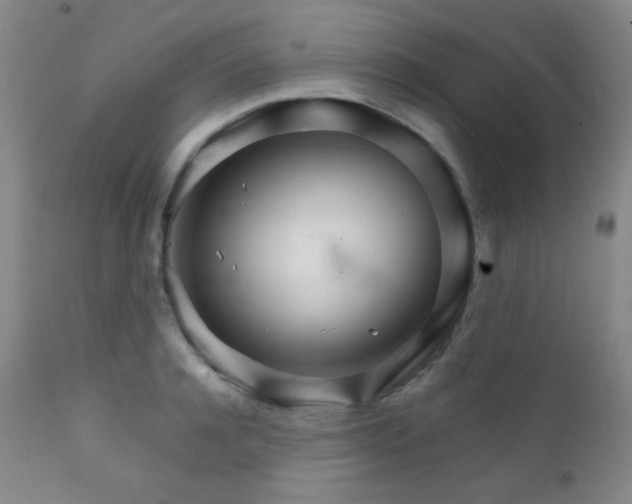 X0000111900944200907271154