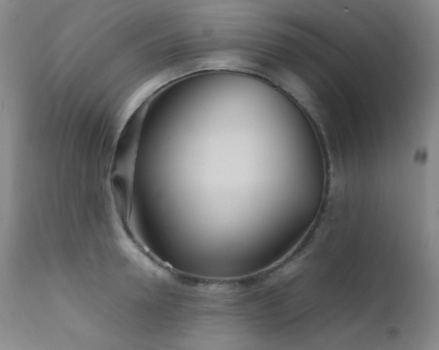 X0000111900946200907271154