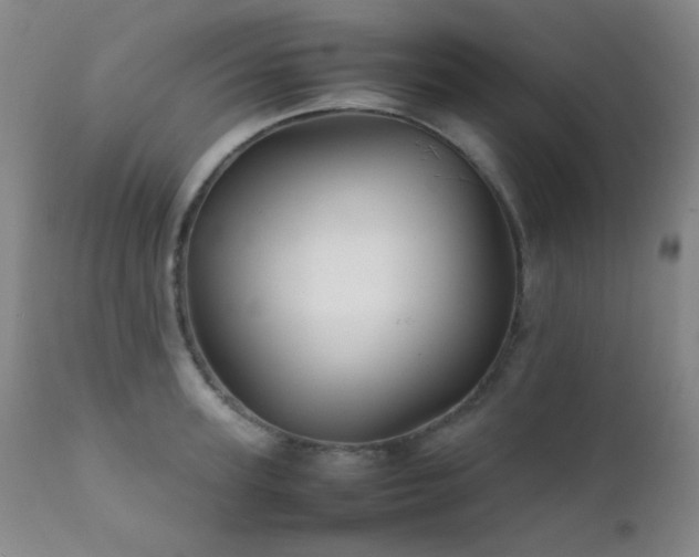 X0000111900947200907271154