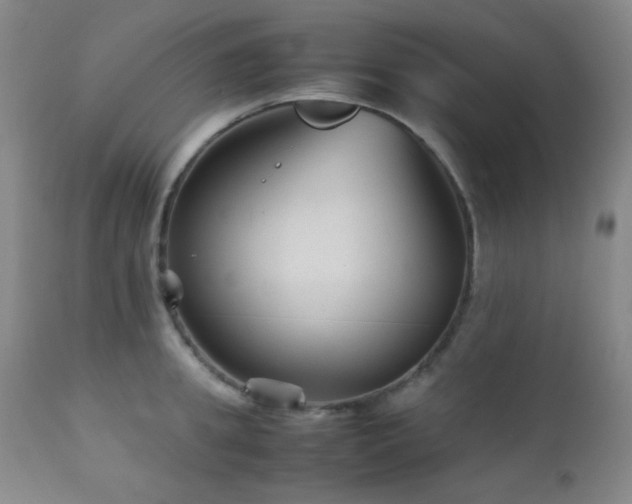 X0000111900949200907271154